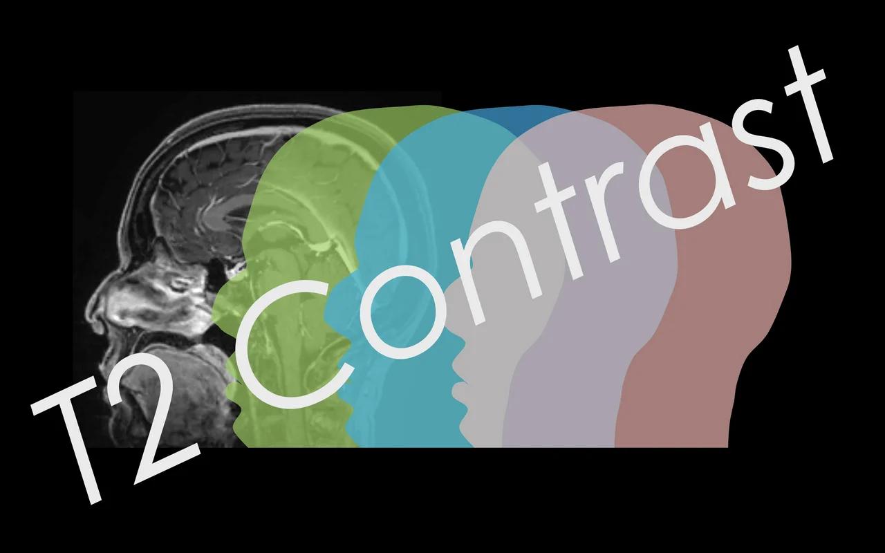 MRI T2 Contrast EXPLAINED (Lecture 5)