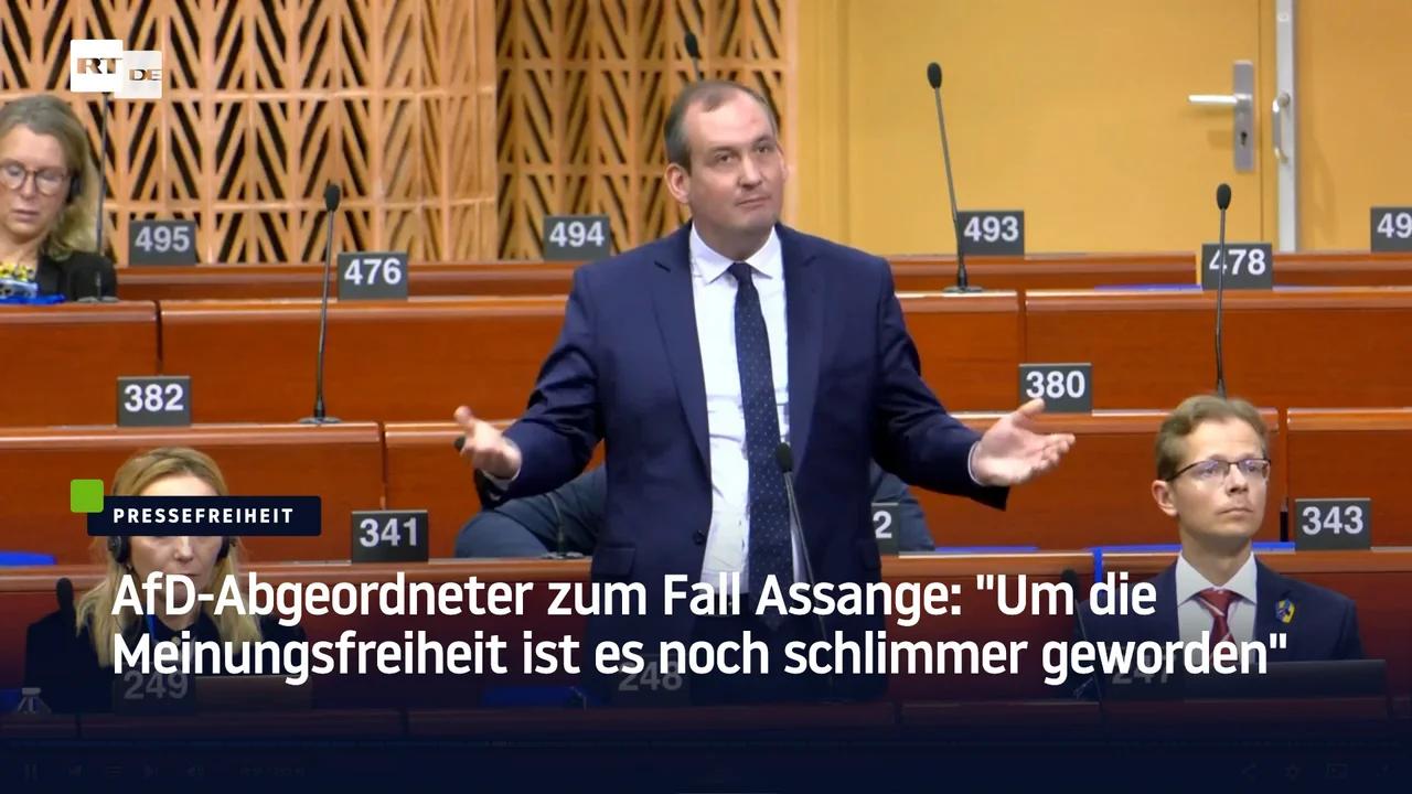 ⁣AfD-Abgeordneter zum Fall Assange: 