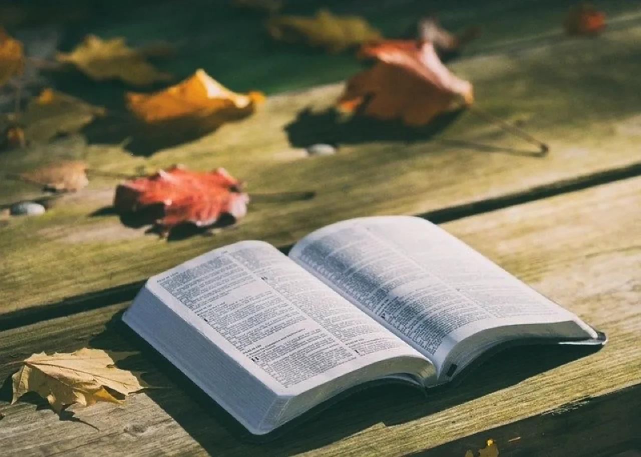 What Does the Bible Say About Gambling?