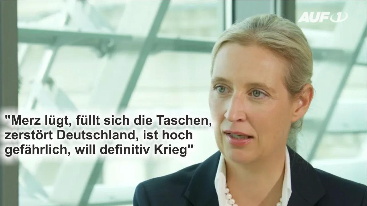 merz füllt sich die taschen