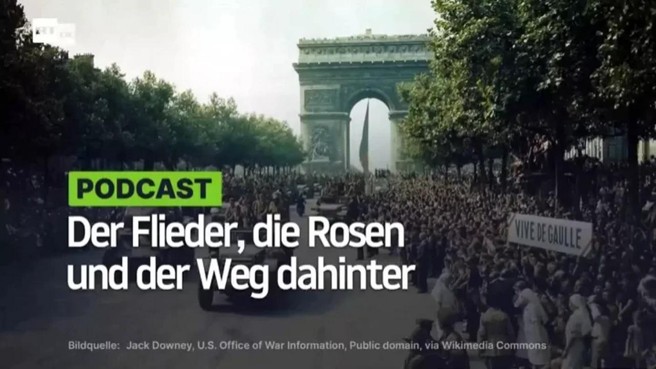 ⁣Der Flieder, die Rosen und der Weg dahinter