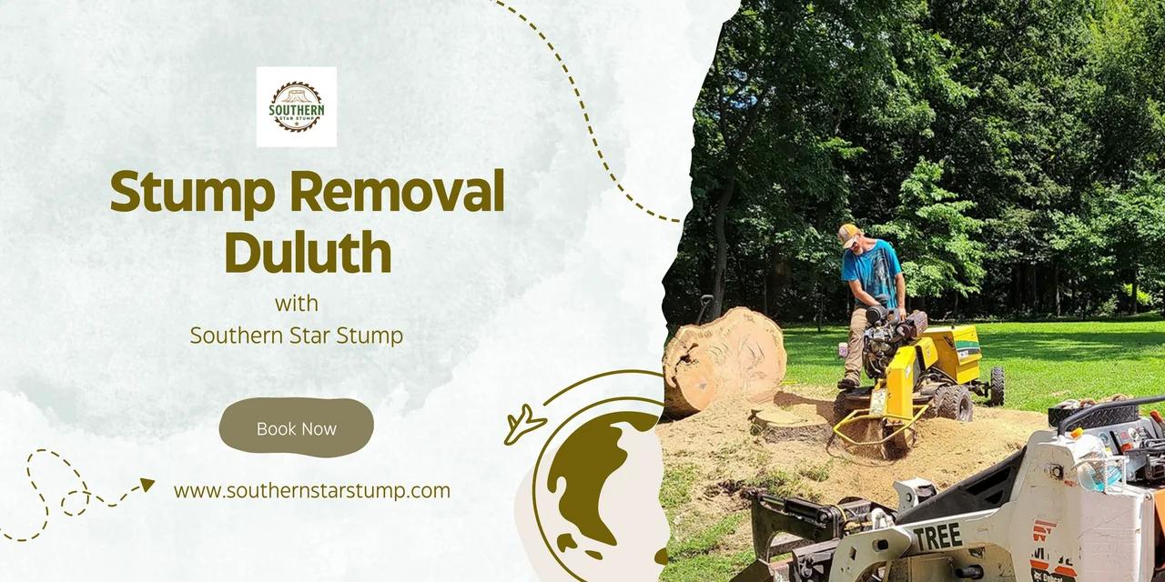 What Makes Stump Removal Essential for Safety