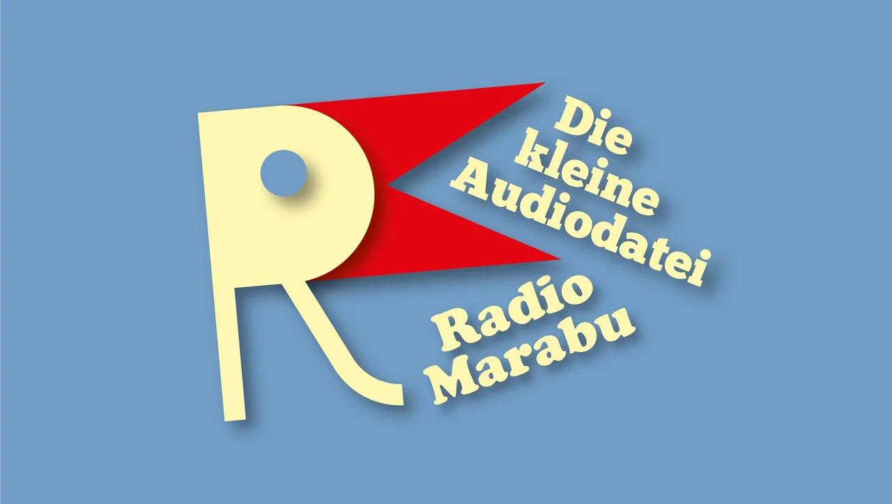Michael Meyen am Montag- das Problem Männer und unsere Demokratie ...