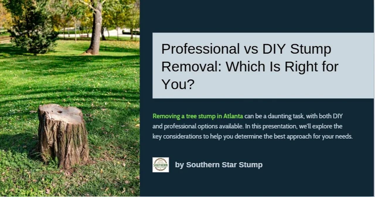 Professional vs DIY Stump Removal Which Is Right for You