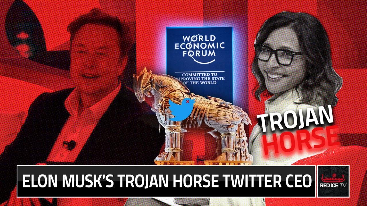 Elon Musk's Trojan Horse Twitter CEO
