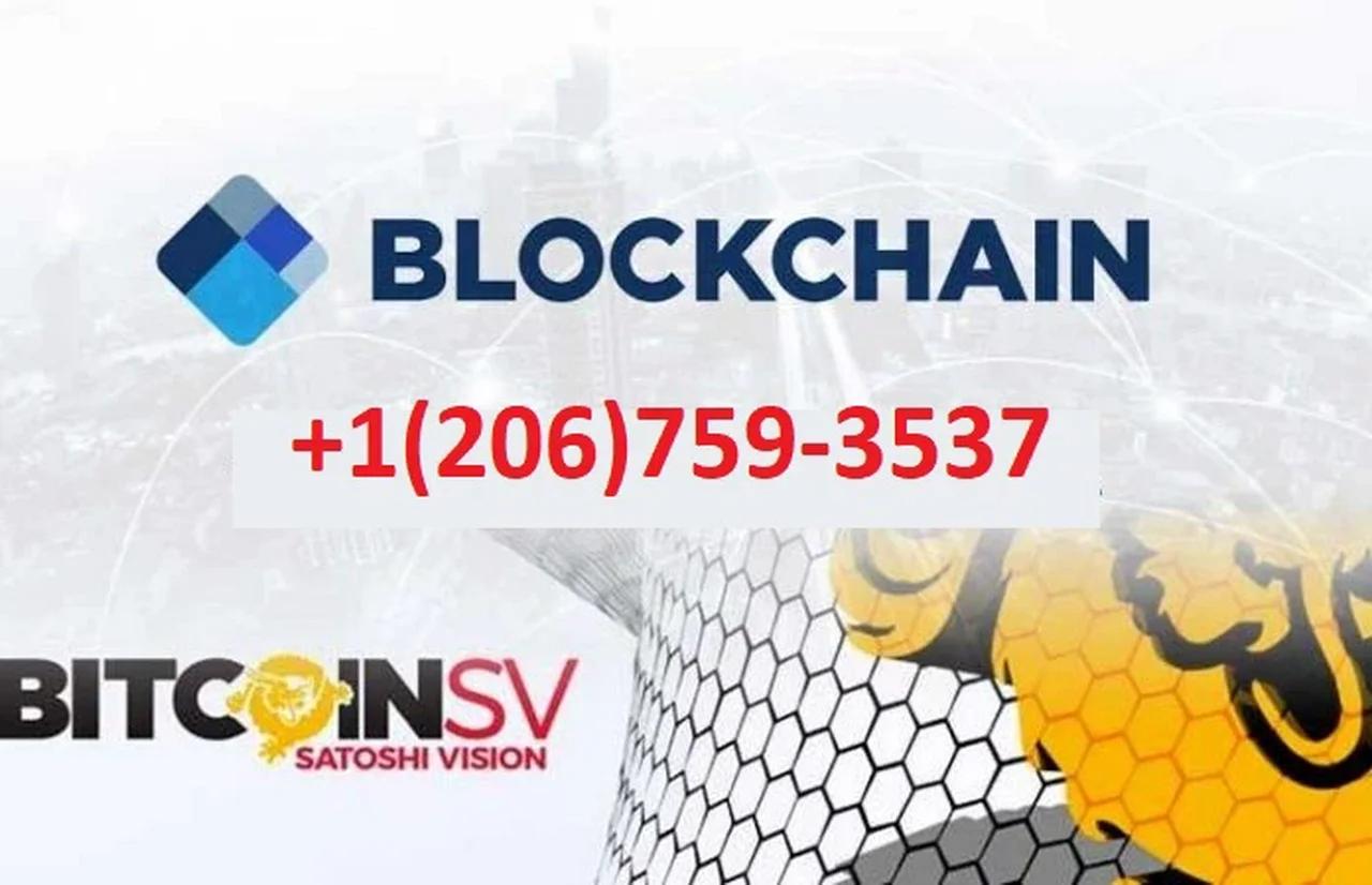 blockchain support number