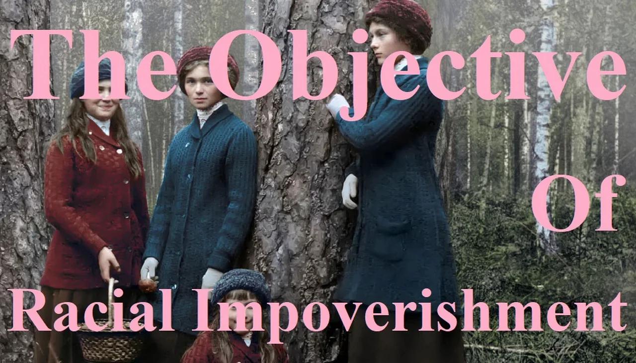 The Objective of Racial Impoverishment | VertigoPolitix