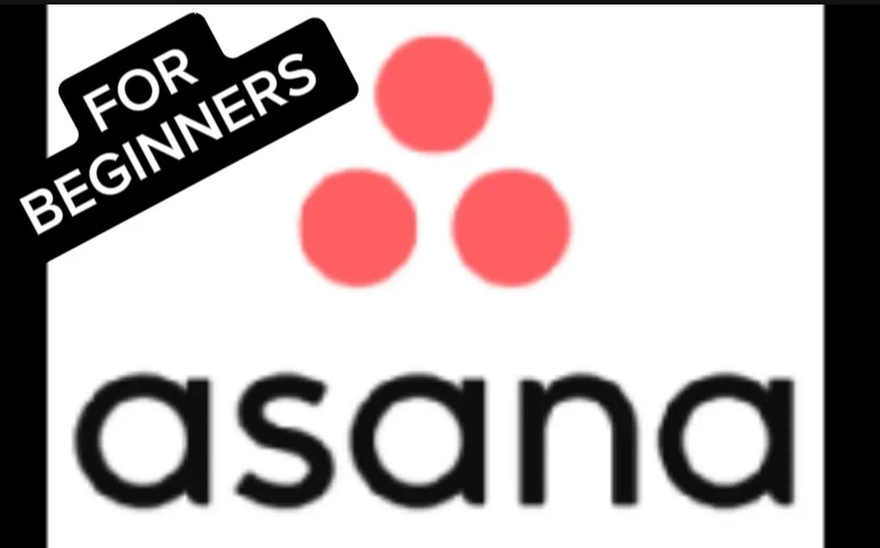 How to use ASANA | TUTORIAL FOR BEGINNERS