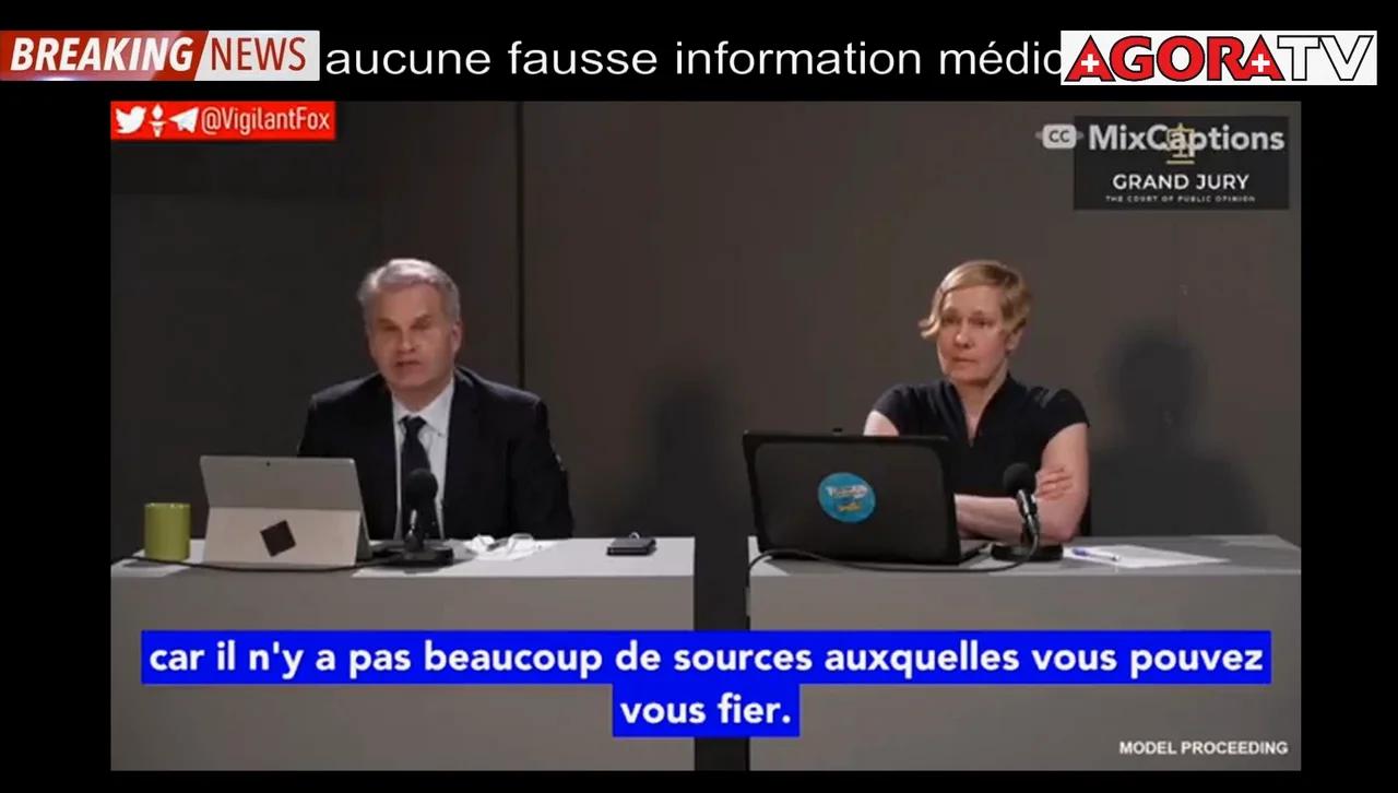 Flash Sp cial Discours De Cloture De Reiner Fuellmich Au Premier Jour 