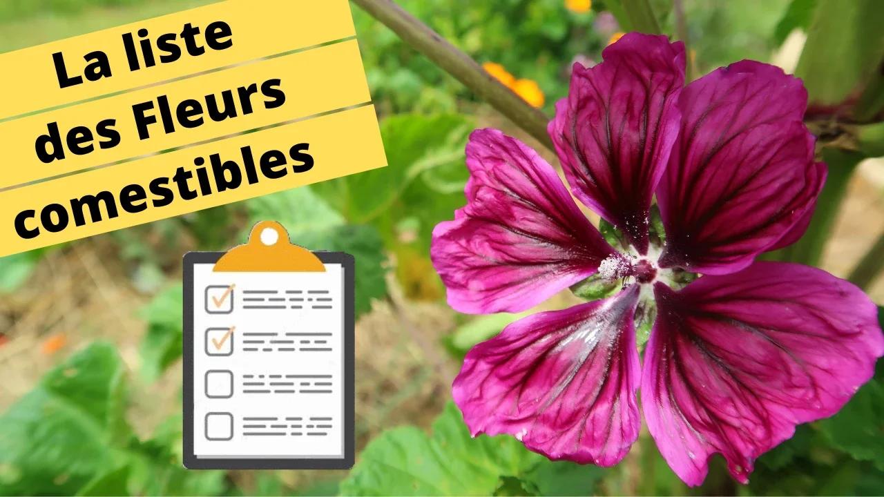 La liste de fleurs comestibles