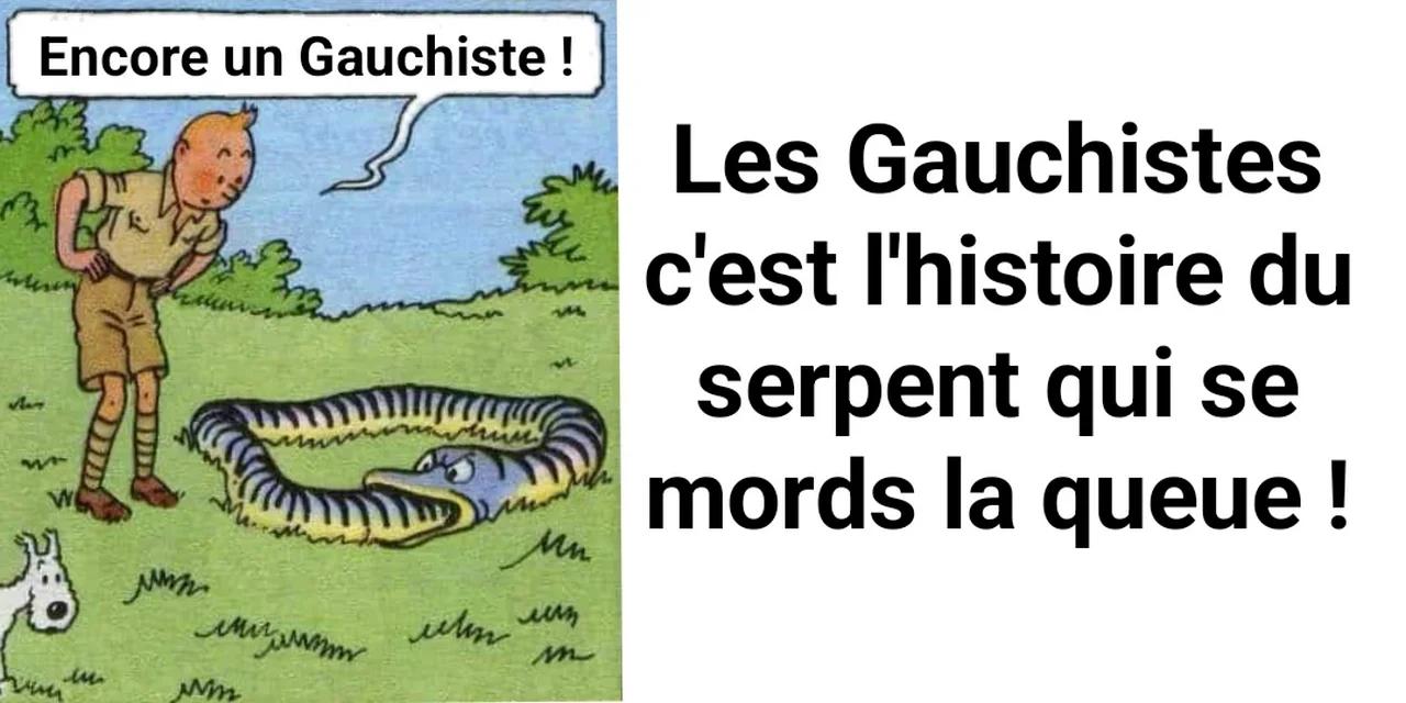 Le serpent qui se mord la queue