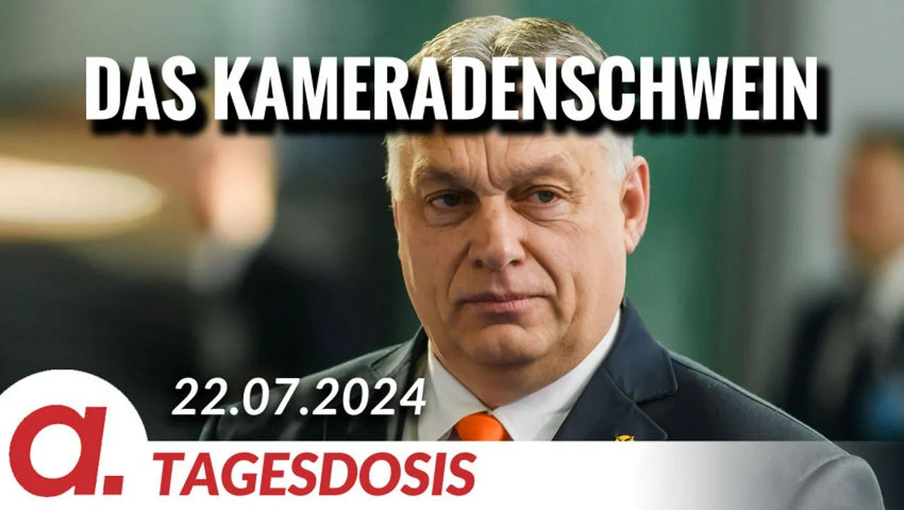 ⁣Orban, das Kameradenschwein | Von Rüdiger Rauls