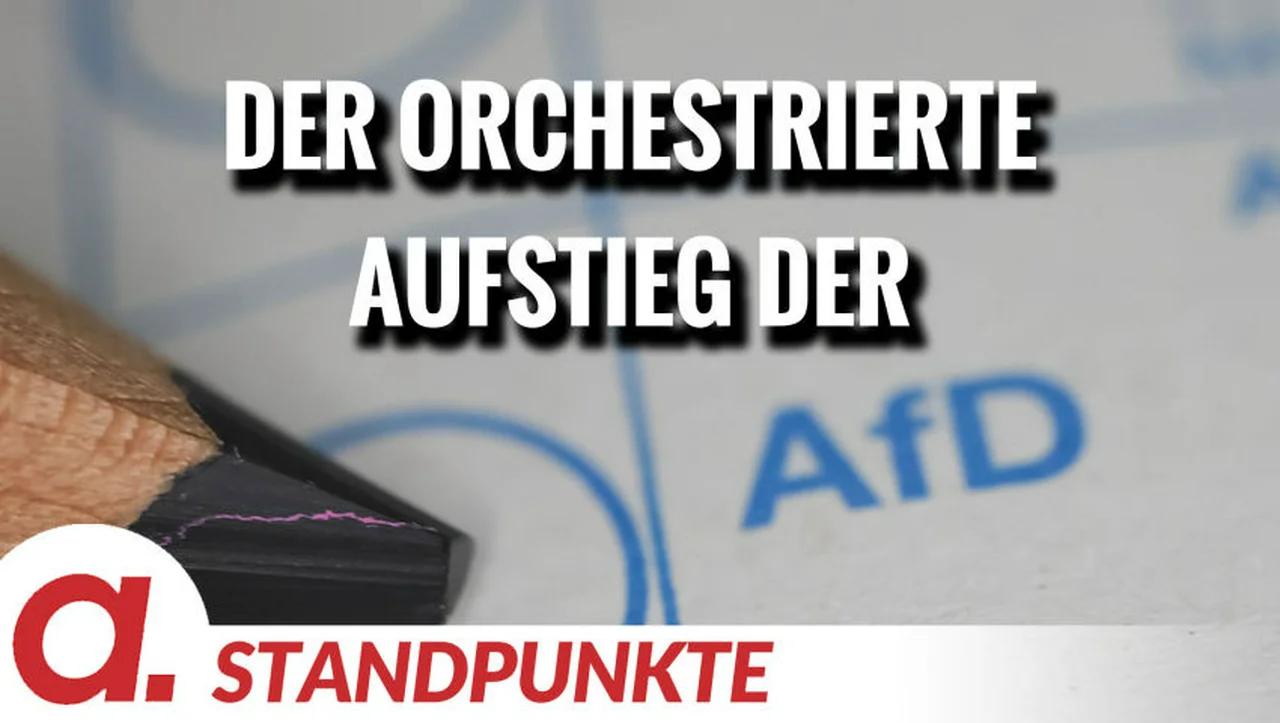 ⁣Der orchestrierte Aufstieg der AfD | Von Felix Feistel