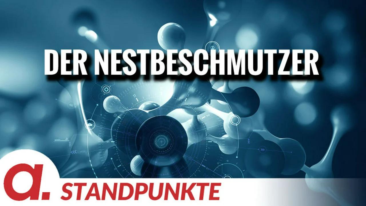 ⁣Der Nestbeschmutzer | Von Anke Behrend