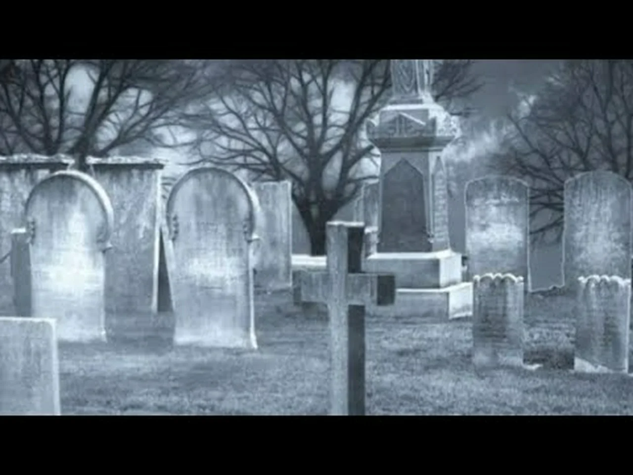Сонник кладбище видеть. Эмо на кладбище. Эмочки на кладбище. Приснилось зимнее кладбище. Летнее кладбище.
